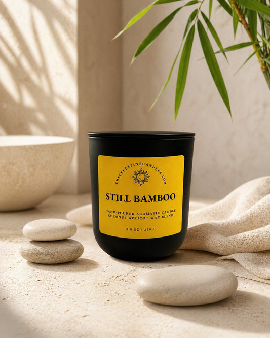 Still Bamboo coconut apricot wax candle in a premium matte black glass vessel with matching lid.